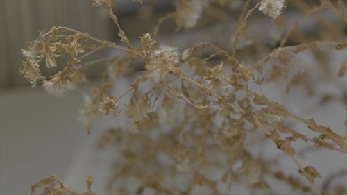 A House with Two Yards