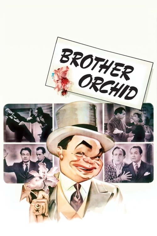 Brother Orchid