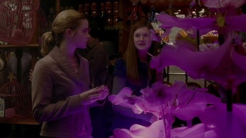 Capture of Harry Potter y el misterio del príncipe (2009)