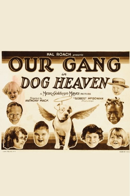 Dog Heaven