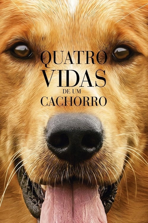 Quatro Vidas de um Cachorro