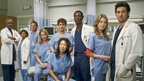 Grey's Anatomy Season 9 Episode 9 : Run, Baby, Run