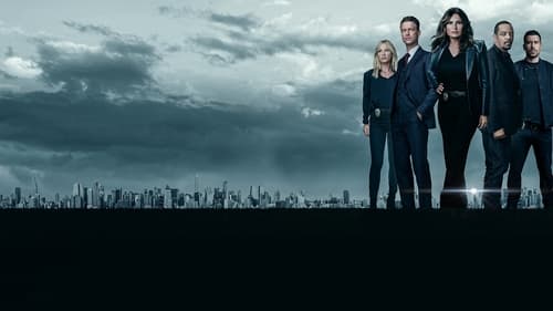 Law & Order: Special Victims Unit Season 19 Episode 9 : Gone Baby Gone
