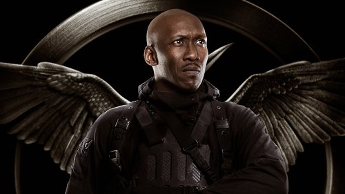 Capture of Los Juegos del Hambre: Sinsajo – Parte 1 (The Hunger Games: Mockingjay – Part 1) (2014)