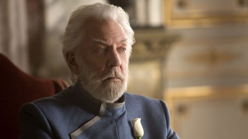 Capture of Los Juegos del Hambre: Sinsajo – Parte 1 (The Hunger Games: Mockingjay – Part 1) (2014)