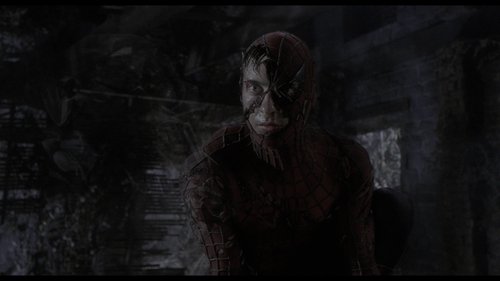 Capture of Spider-Man