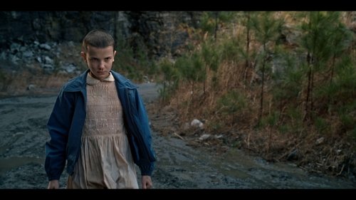 Stranger Things season 1