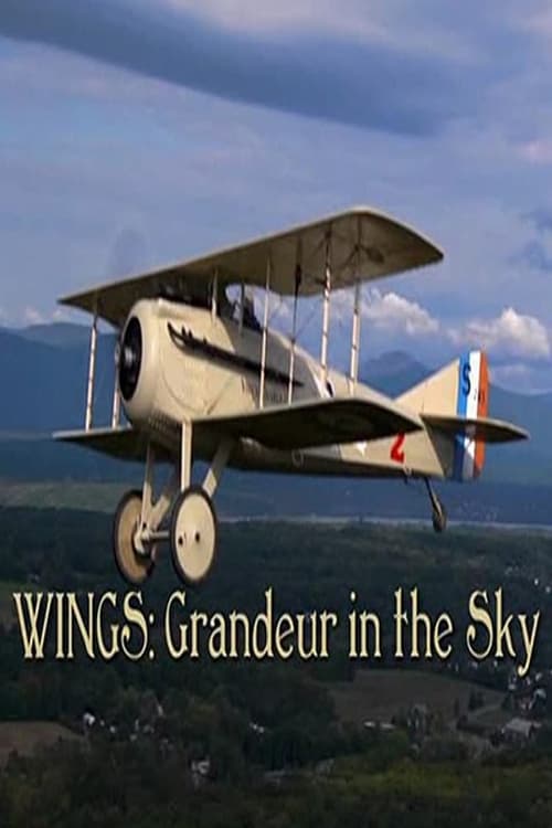 Wings: Grandeur in the Sky