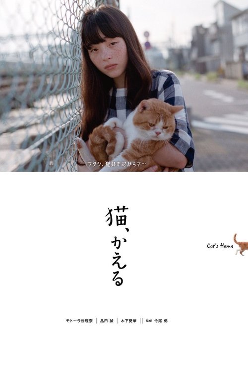 Cat's Home