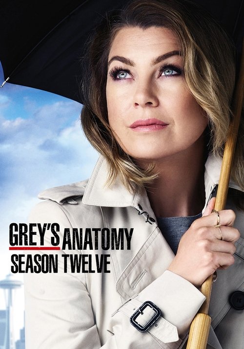 Grey's Anatomy Season 12