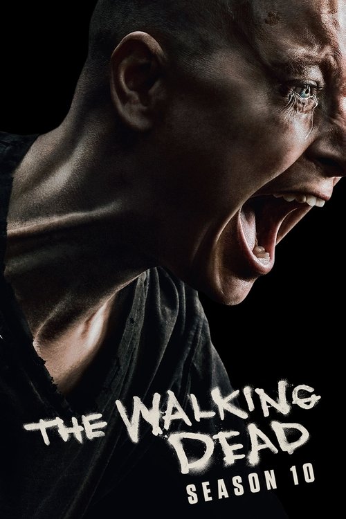 Season 10