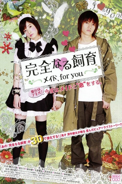 Perfect Education: A Maid for You