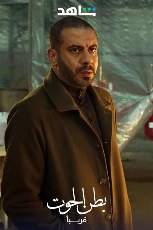 معلومات سريعة