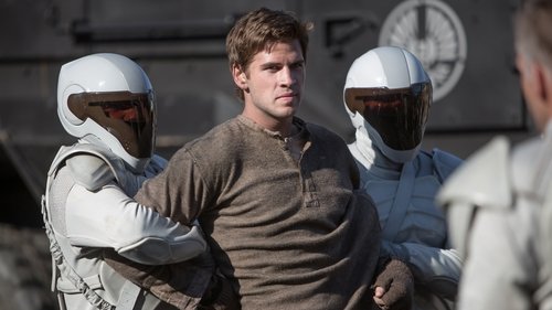 Capture of Los Juegos del Hambre: En llamas (The Hunger Games: Catching Fire) (2013)