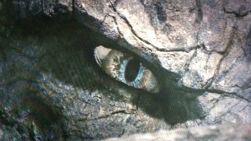 Dragonheart: Battle for the Heartfire