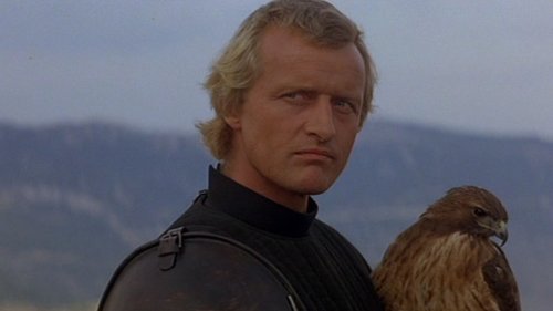 Capture of Lady Halcón (Ladyhawke)