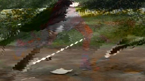 Capture of Forrest Gump