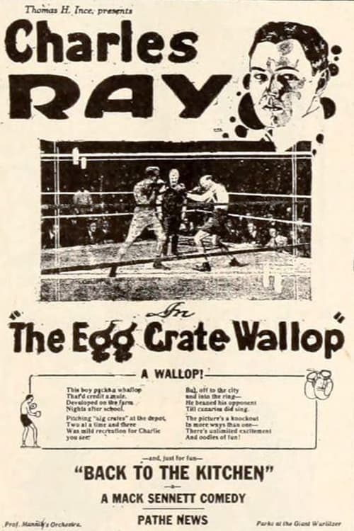 The Egg Crate Wallop