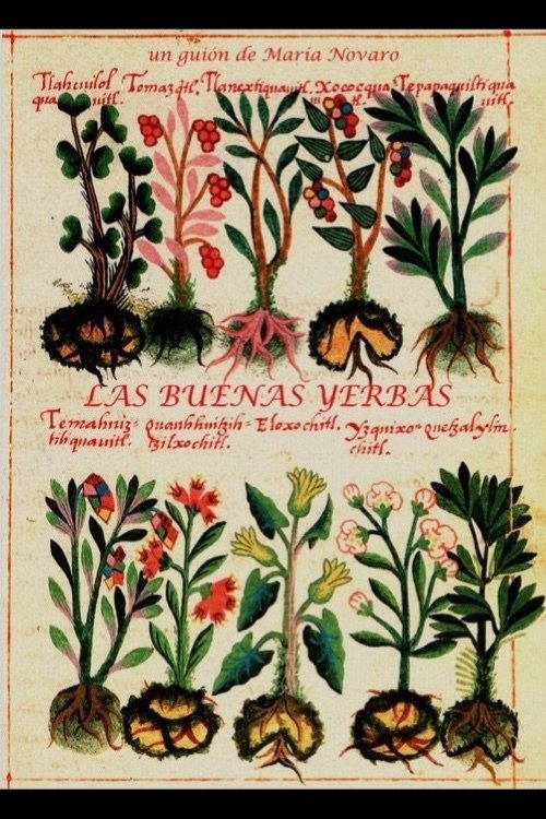 The Good Herbs