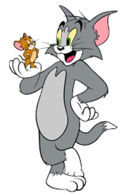 The Tom and Jerry Comedy Show
