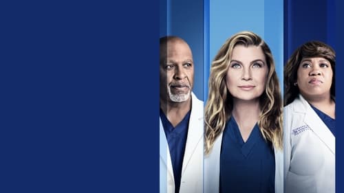 Grey's Anatomy Season 15