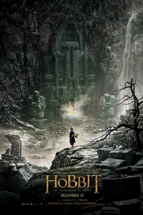 Image The Hobbit: The Desolation of Smaug (Extended)