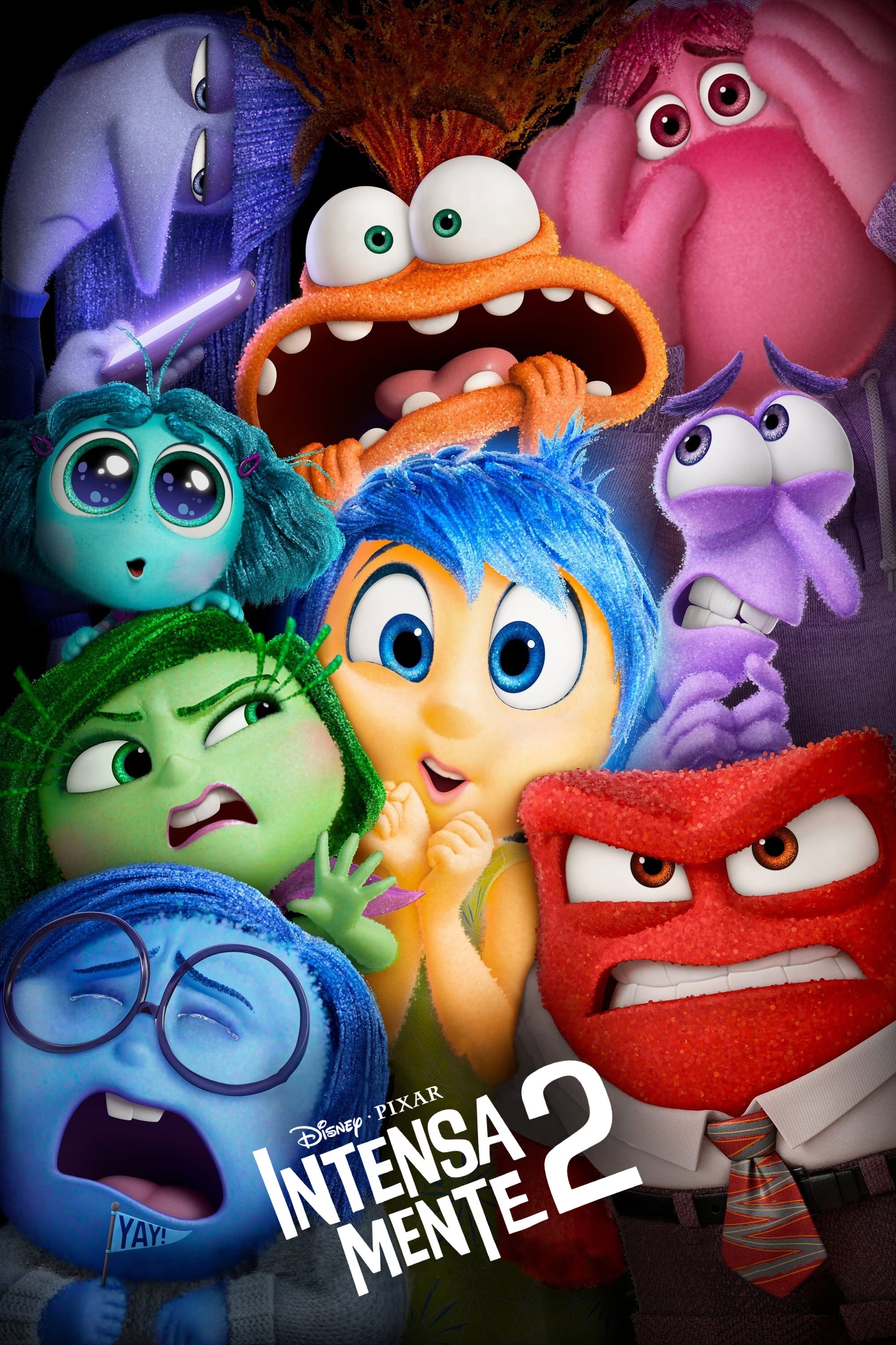 Intensa Mente 2  (Inside Out 2)