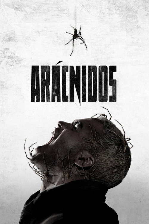 Vermin: La plaga (Arácnidos)