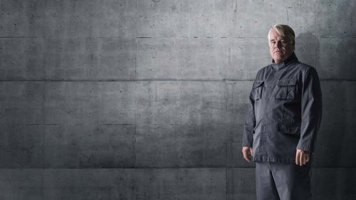 Capture of Los Juegos del Hambre: Sinsajo – Parte 1 (The Hunger Games: Mockingjay – Part 1) (2014)
