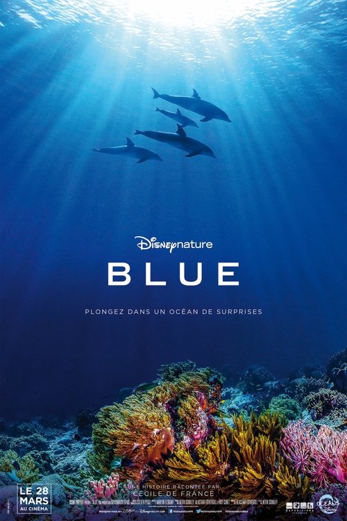 Dolphins