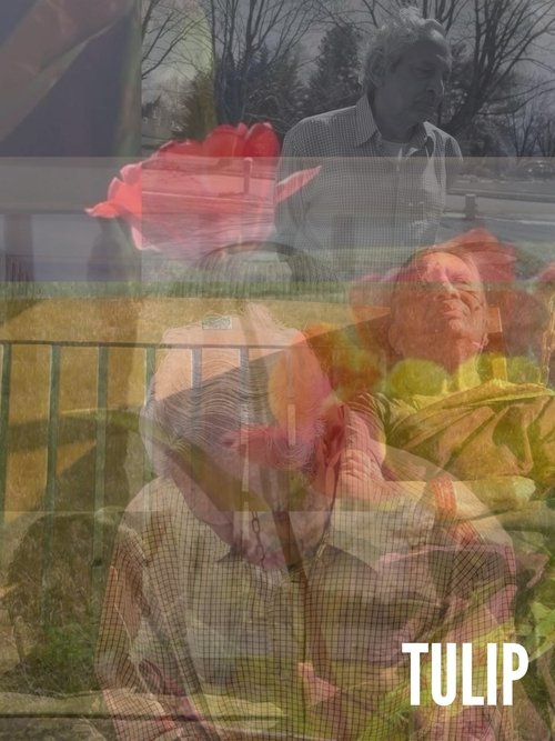 Nonton film Tulip (2022) terbaru sub indo Nonton film Tulip (2022) terbaru sub indo