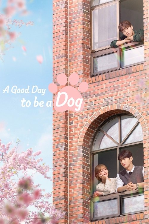 A Good Day to be a Dog