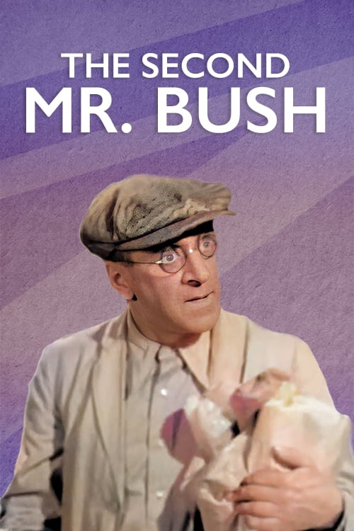 The Second Mr. Bush