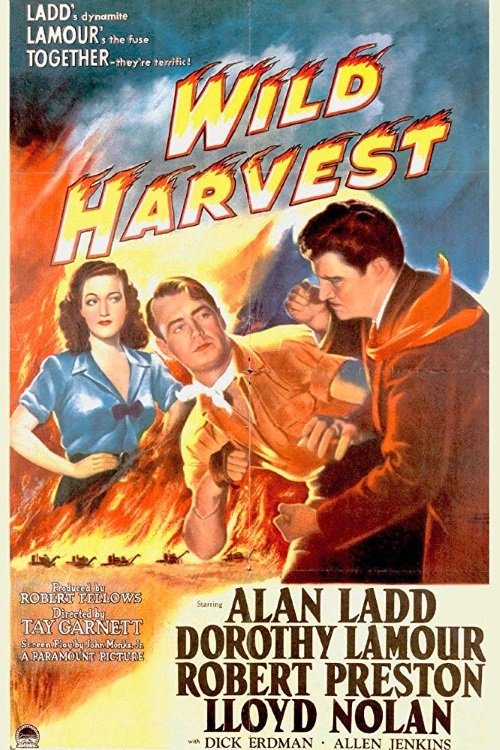 Wild Harvest