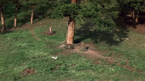 An Unfinished Life