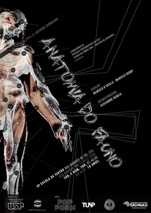 Anatomia do Fauno