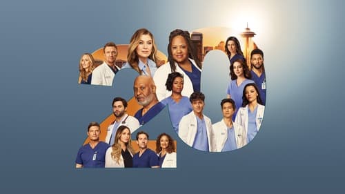 Grey's Anatomy Season 8 Episode 11 : This Magic Moment