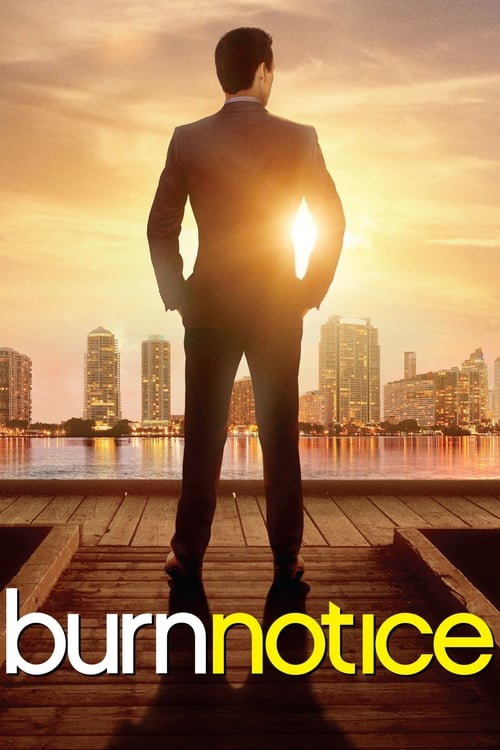 Poster Burn Notice 2007