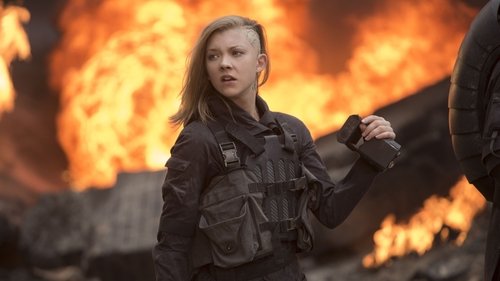 Capture of Los Juegos del Hambre: Sinsajo – Parte 1 (The Hunger Games: Mockingjay – Part 1) (2014)