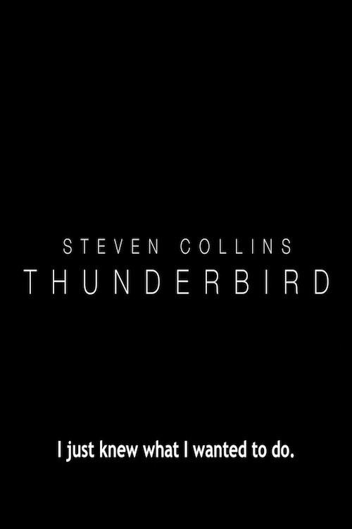 Nonton film Thunderbird (2017) terbaru sub indo Nonton film Thunderbird (2017) terbaru sub indo
