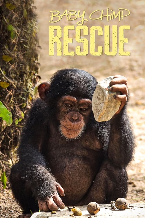 Image Baby Chimp Rescue