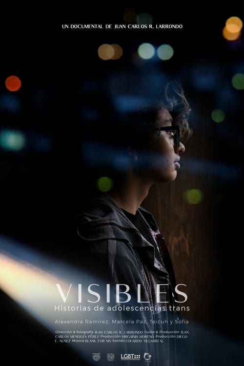 Visible: Transgender Youth Stories
