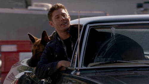 Dean e Um Dia de Cão Still