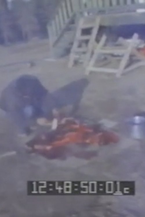Nonton film Joe's Seal Meat (Labrador) (1970) terbaru sub indo Nonton film Joe's Seal Meat (Labrador) (1970) terbaru sub indo