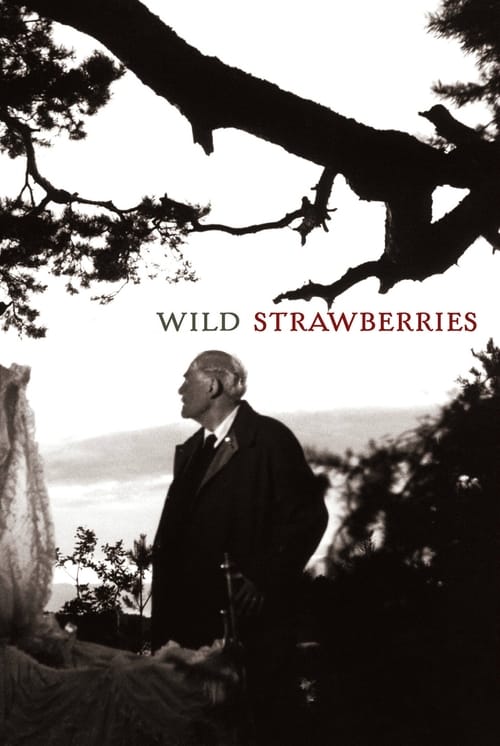 Wild Strawberries