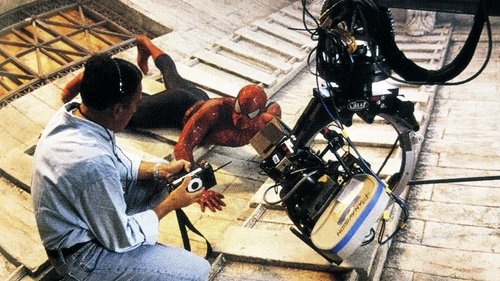 Capture of Spider-Man