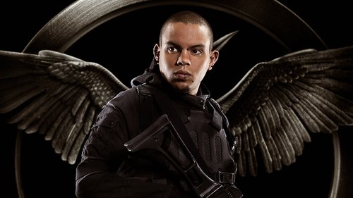 Capture of Los Juegos del Hambre: Sinsajo – Parte 1 (The Hunger Games: Mockingjay – Part 1) (2014)