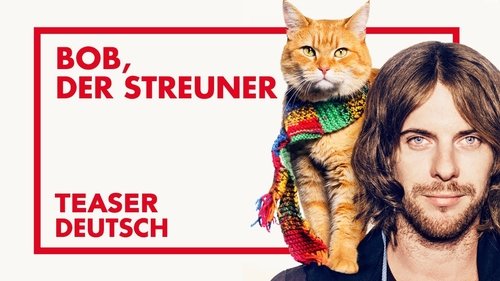 Bob, der Streuner
