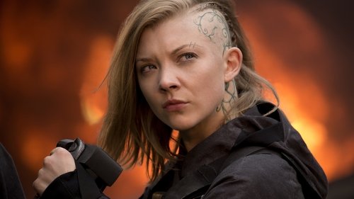 Capture of Los Juegos del Hambre: Sinsajo – Parte 1 (The Hunger Games: Mockingjay – Part 1) (2014)