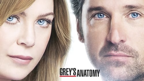 Grey's Anatomy Season 11 Episode 13 : Staring at the End